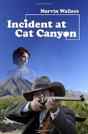 Incident At Cat Canyon - Preview