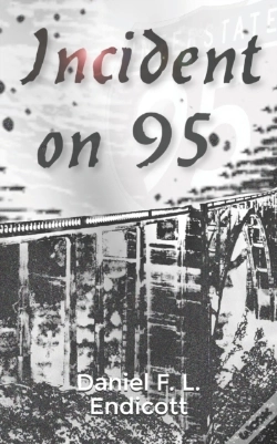 Capa do artigo Incident On 95
