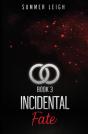 Incidental Fate Book 3 - Preview