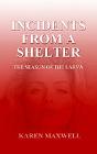 Incidents From A Shelter - Preview