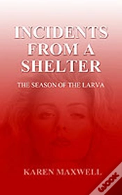 Capa do artigo Incidents From A Shelter