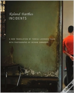 Capa do artigo Incidents