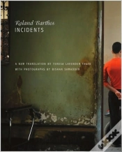 Capa do artigo Incidents