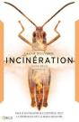 Incineration - Preview