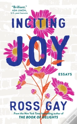 Capa do artigo Inciting Joy
