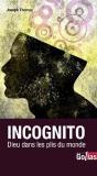 Incognito ; Dieu Dans Les Plis Du Monde - Preview