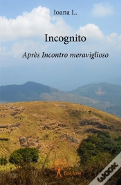 Capa do artigo Incognito