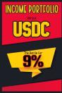 Income Portfolio Vs Usdc - Preview