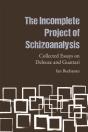 Incomplete Project Of Schizoanalysis - Preview