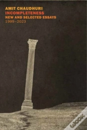 Capa do artigo Incompleteness
