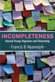 Capa do artigo Incompleteness