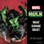 Incredible Hulk - Preview