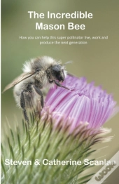 Incredible Mason Bee