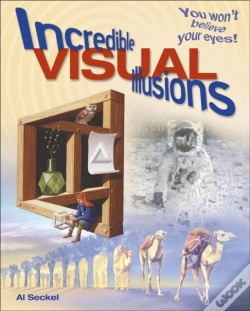 Capa do artigo Incredible Visual Illusions