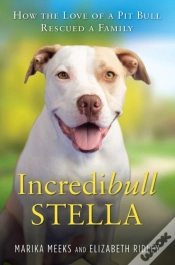 Capa do artigo Incredibull Stella