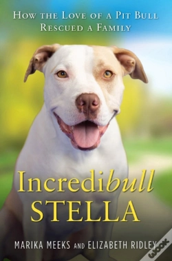 Capa do artigo Incredibull Stella