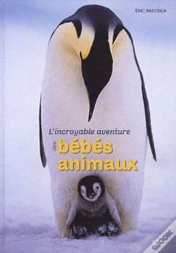 Capa do artigo Incroyable Aventure Des Bebes Animaux (L
