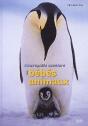 Incroyable Aventure Des Bebes Animaux (L - Preview