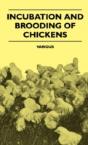 Incubation And Brooding Of Chickens - Preview
