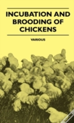 Capa do artigo Incubation And Brooding Of Chickens