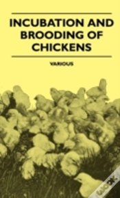 Capa do artigo Incubation And Brooding Of Chickens