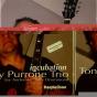 Incubation [european Import] - CD - Preview