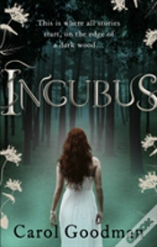 Capa do artigo Incubus
