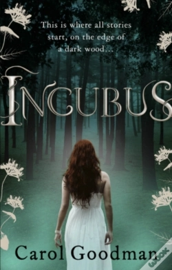 Capa do artigo Incubus