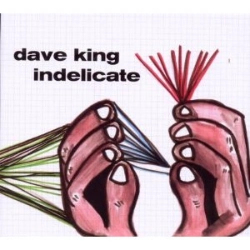 Capa do artigo Indelicate - CD