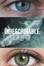 Indescribable - Preview