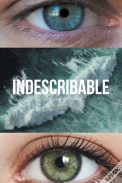 Capa do artigo Indescribable