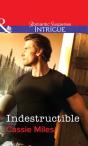 Indestructible - Preview