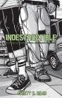 Indestructible - Preview