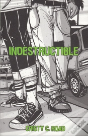 Capa do artigo Indestructible