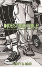 Indestructible - Preview
