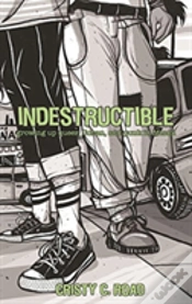 Capa do artigo Indestructible