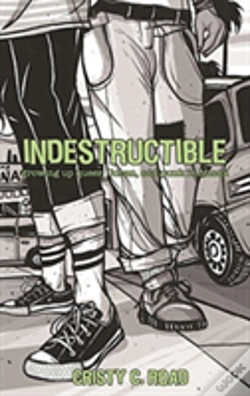 Capa do artigo Indestructible