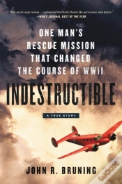 Capa do artigo Indestructible
