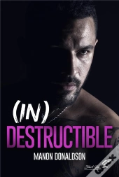 (In)Destructible