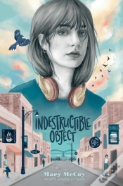 Capa do artigo Indestructible Object