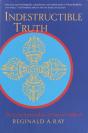 Indestructible Truth - Preview