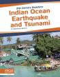 Indian Ocean Earthquake And Tsunami - Preview