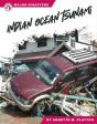 Indian Ocean Tsunami - Preview
