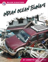 Indian Ocean Tsunami
