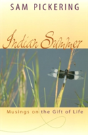 Indian Summer - Preview