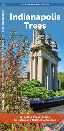 Capa do artigo Indianapolis Trees