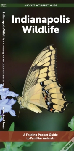 Capa do artigo Indianapolis Wildlife