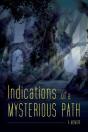 Indications Of A Mysterious Path - Preview