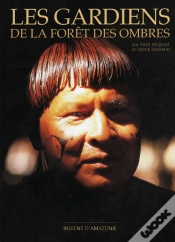 Capa do artigo Indiens D