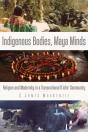 Indigenous Bodies, Maya Minds - Preview